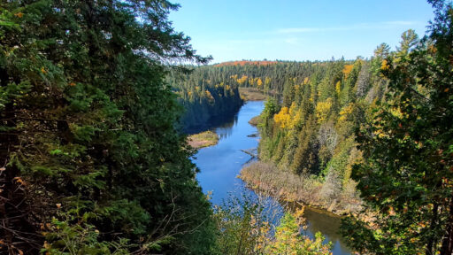 view of a river through forest from a lookout