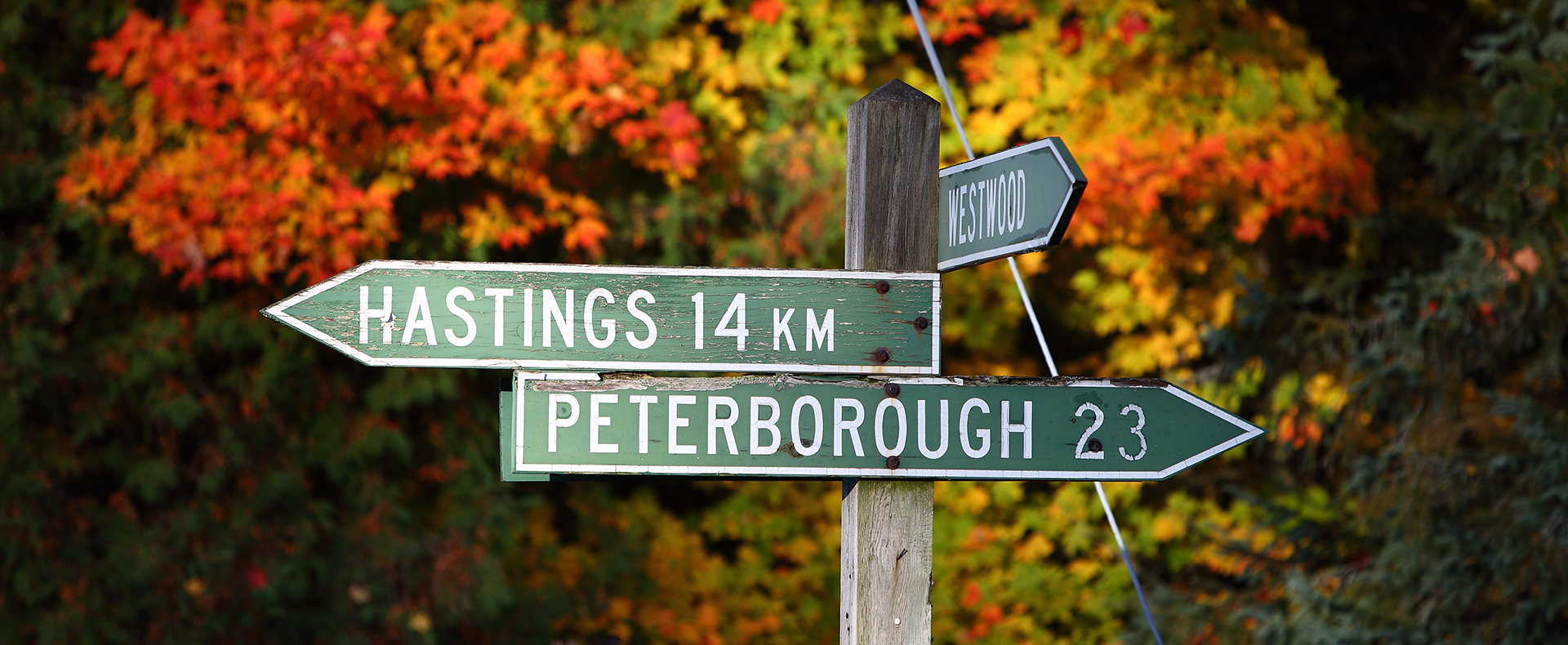 Fall in Peterborough and The Kawarthas - The Kawarthas Tourism