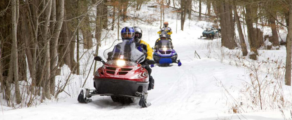 snowmobiles on a path in woods during winter in Peterborough & the Kawarthas