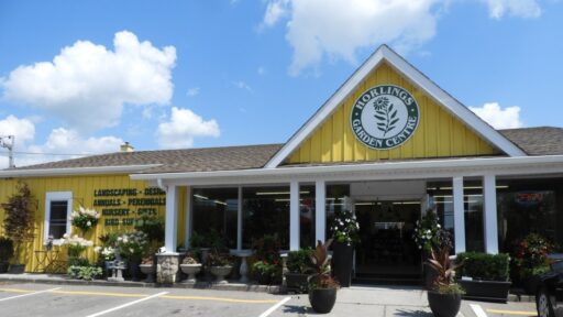 outside of store, yellow building with lots of plants