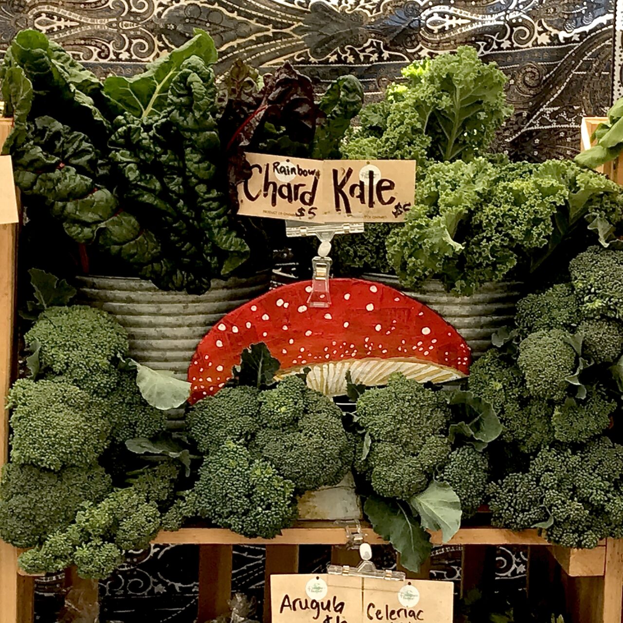 Sign that says Kale surrounded by fresh Kale