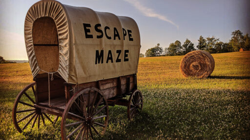 Old covered wagon with Escape Maze written on the side of it in a yellow field with a hay bales in the background
