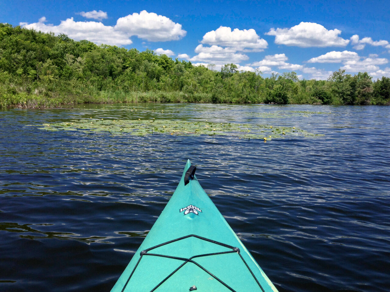 Tip of a kayak on a lake