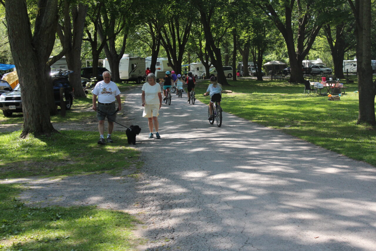 people walking and cycling along a path surrounded by trees