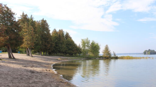 beach on lake surrounded by forest