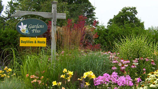 Gardens Plus Signage