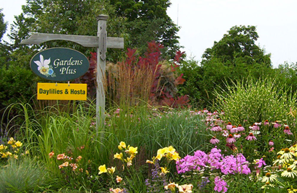 Gardens Plus Signage