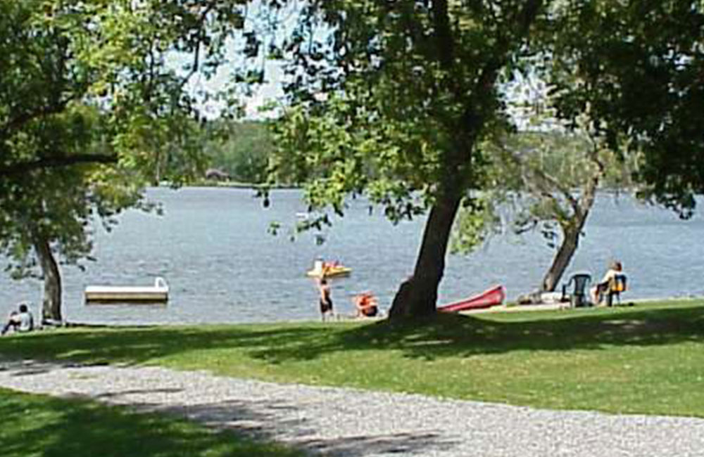 people on a grass area with trees, on a lake