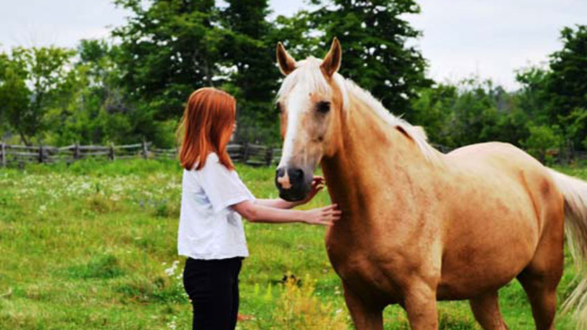 girl petting a horse