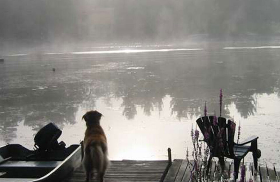 Shady Point Resort Peterborough & the Kawarthas
