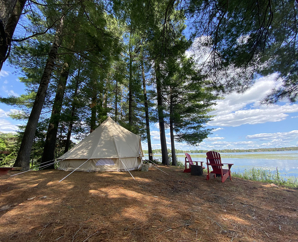 a lake front camp site with trees
