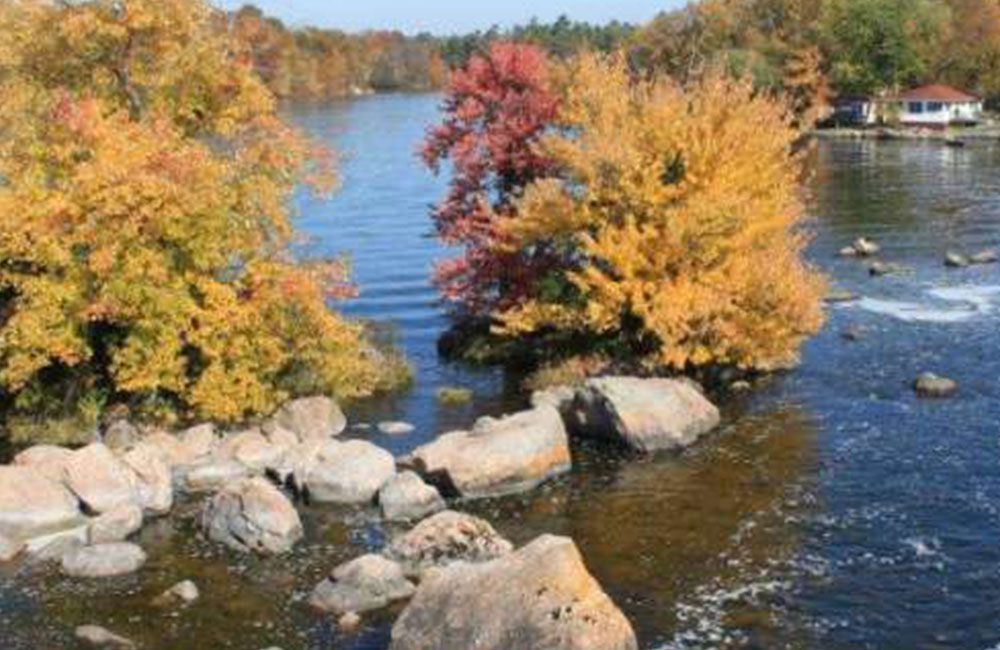autumn-coloured trees and rocks near the water