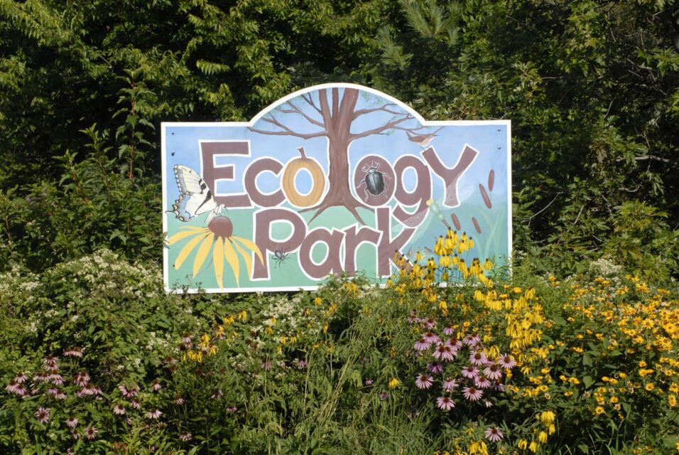 ecology park sign in garden