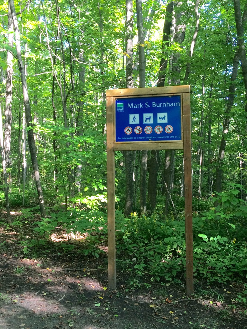 walking sign in forest