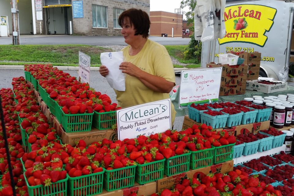 woman selling strawberries