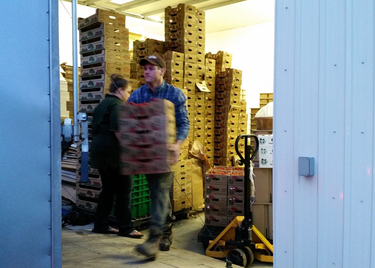 people loading boxes