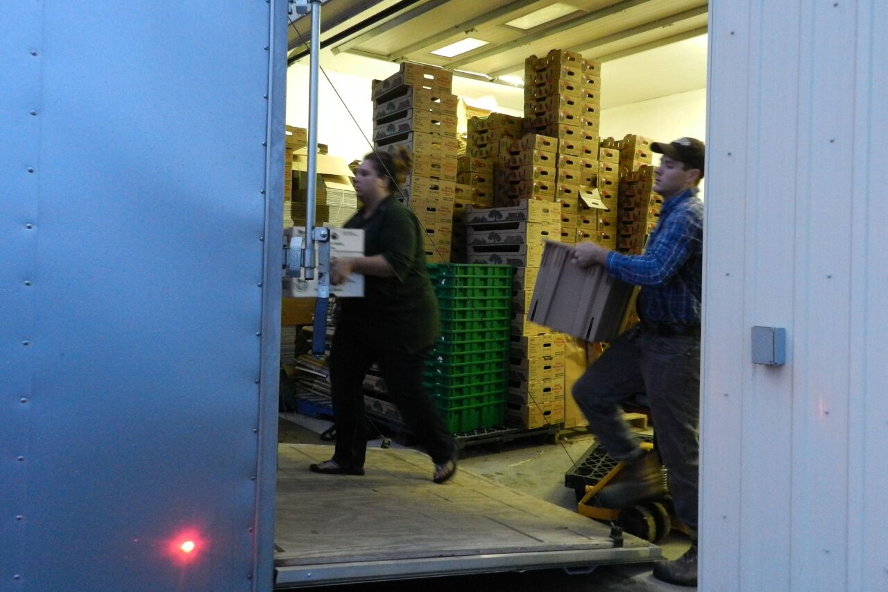 people loading boxes
