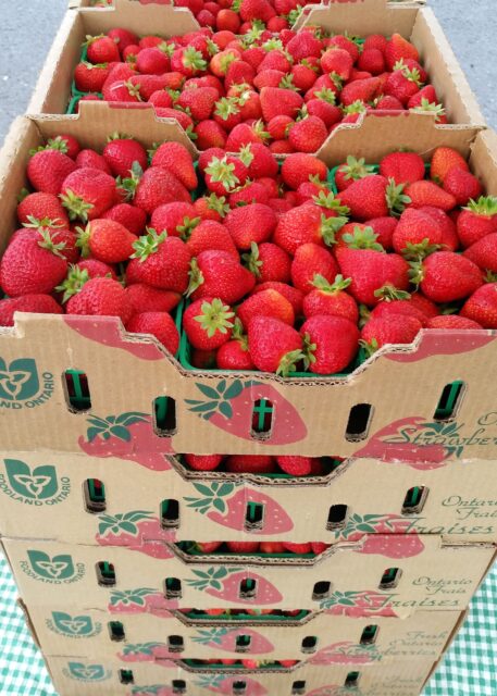 boxes of strawberries