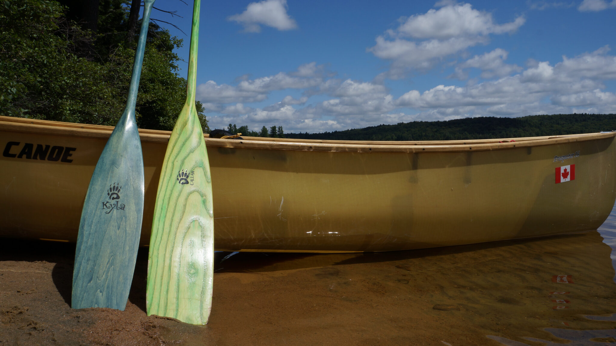 The Happy Camper’s Top 5 Canoe Trips in Kawartha Highlands for the beginner