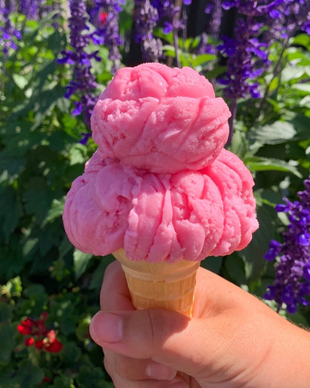 pink icream in cone