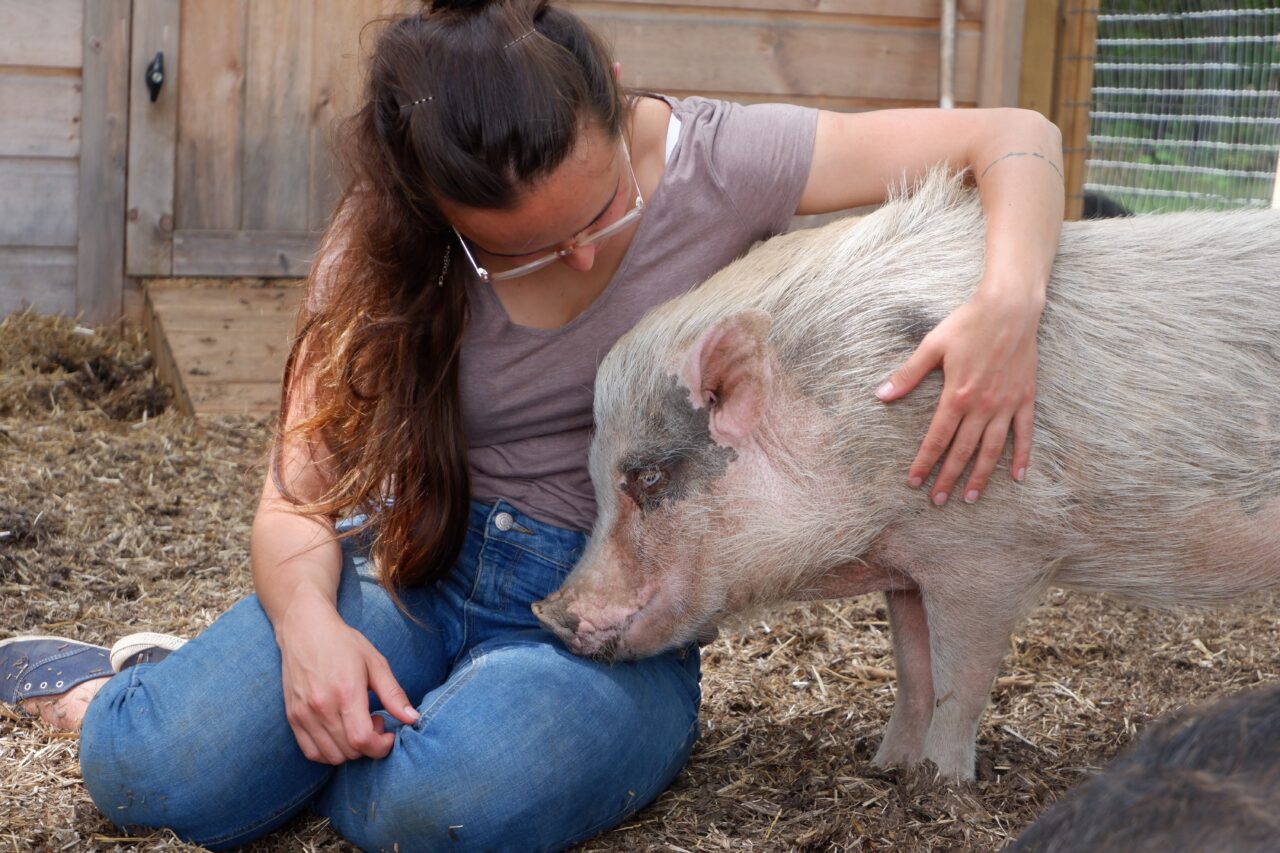 woman petting a pig