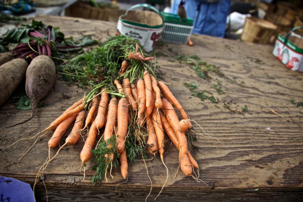 an image of handpicked carrots and potatoes on a table