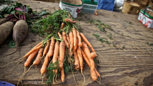 an image of handpicked carrots and potatoes on a table