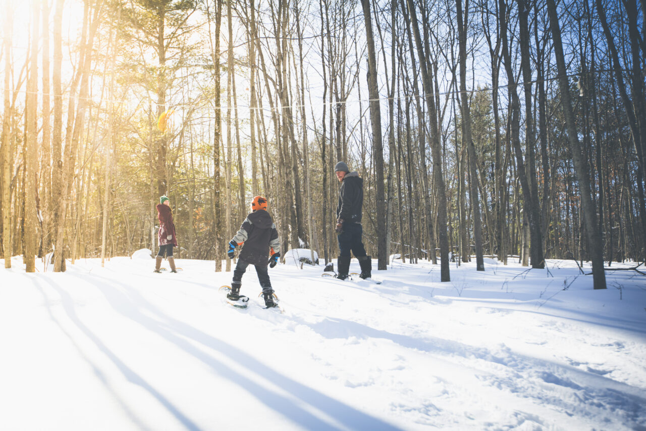 a family snowshoeing in a forest