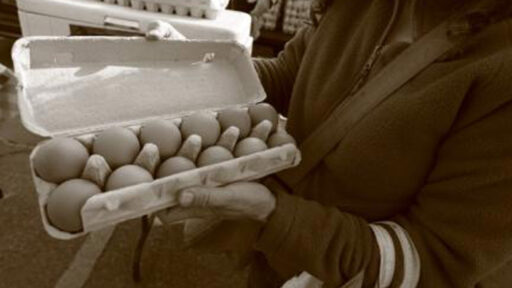 a person holding an open carton of eggs