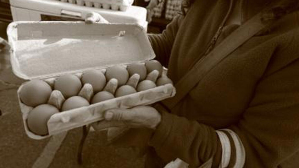 a person holding an open carton of eggs