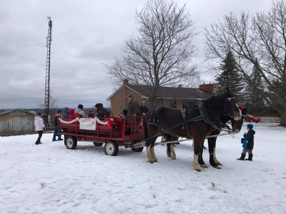 horse and carriage in winter