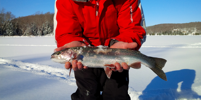 person holding fish on frozen lake