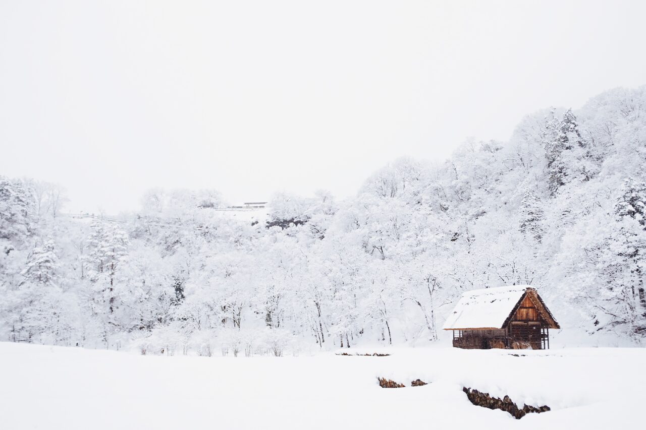 Cabin in a snowy forest
