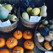 a bunch of pumpkins in baskets