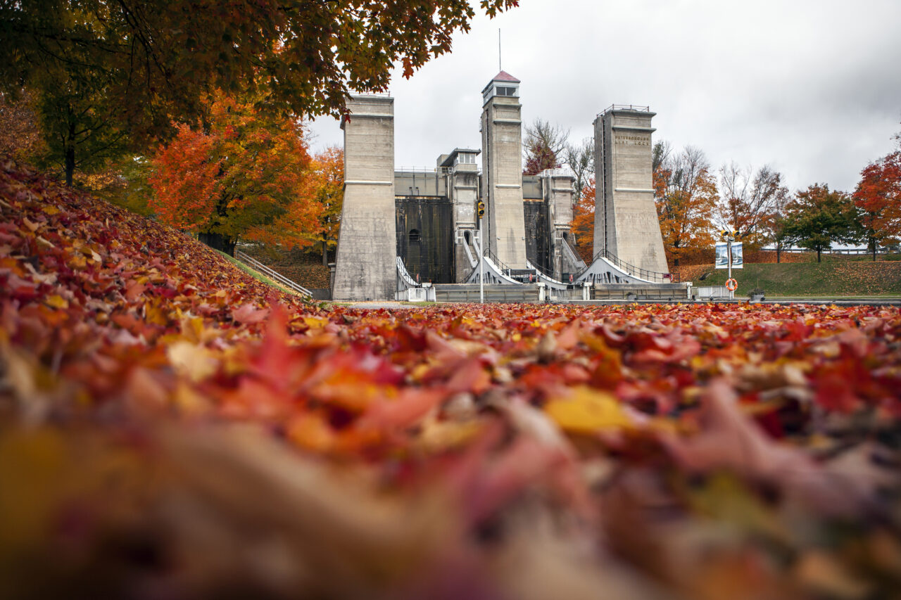 fall leaves and lift lock