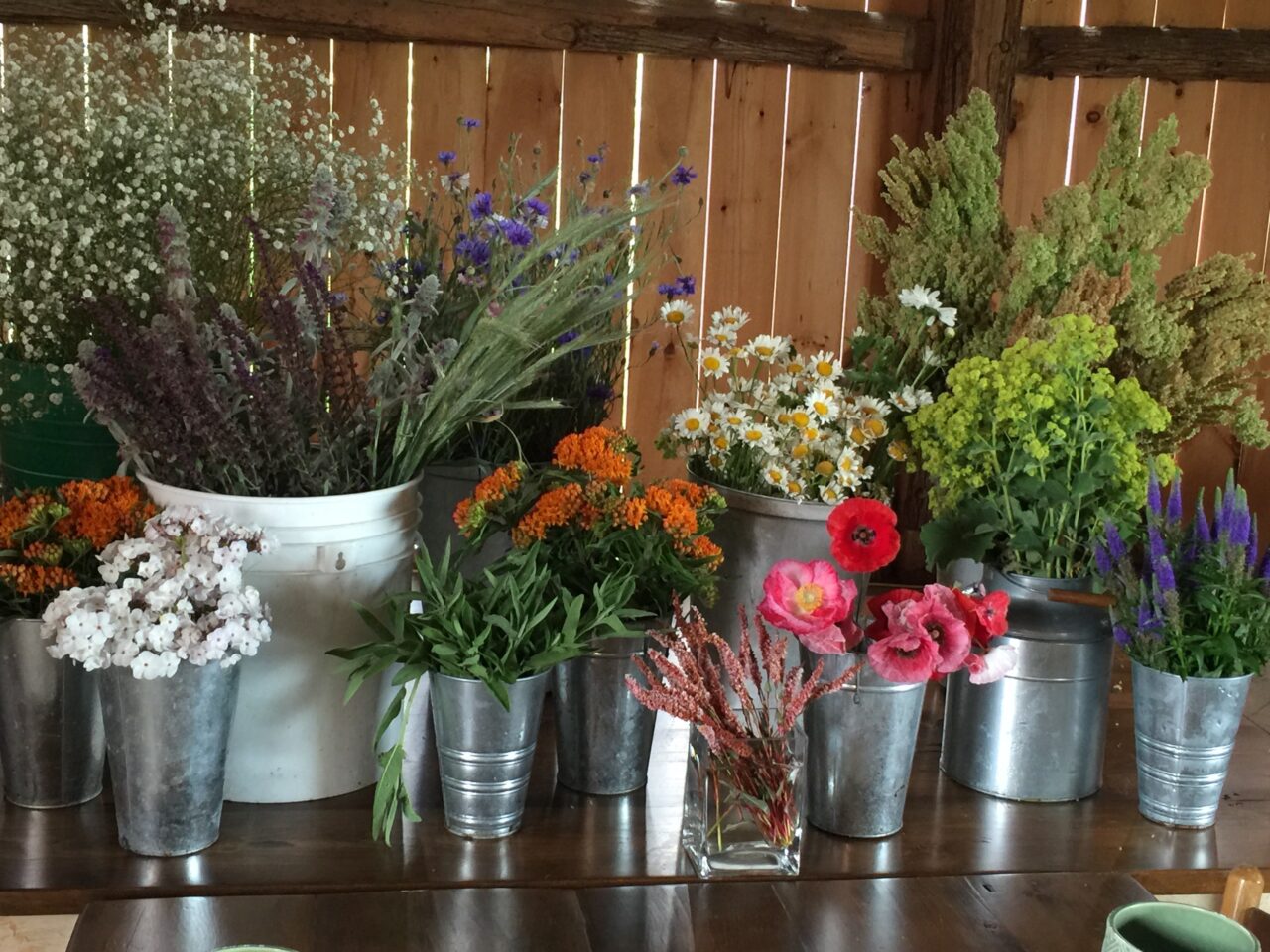 variety of flowers in vases