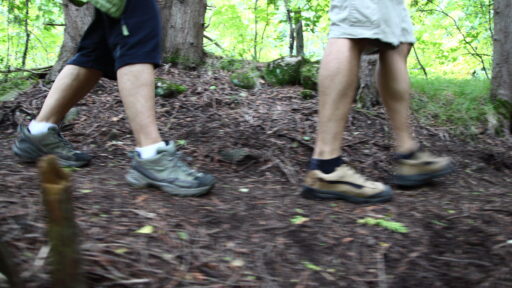 the legs of two people hiking in a forest