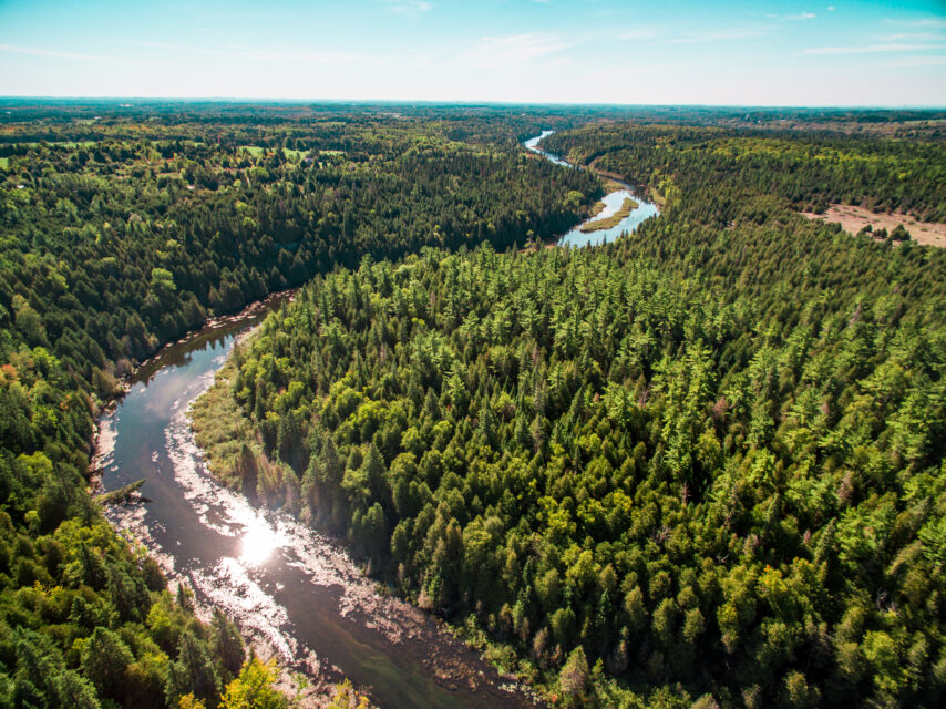 aerial view of a waterway running through a forest