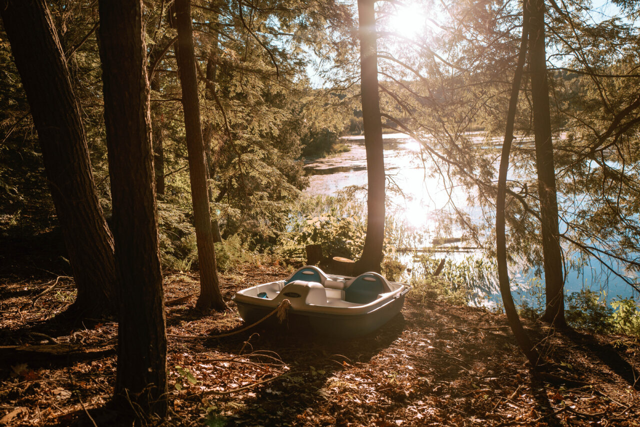 Paddle boat on shore in a wooded areas beside water, sun shining on the water