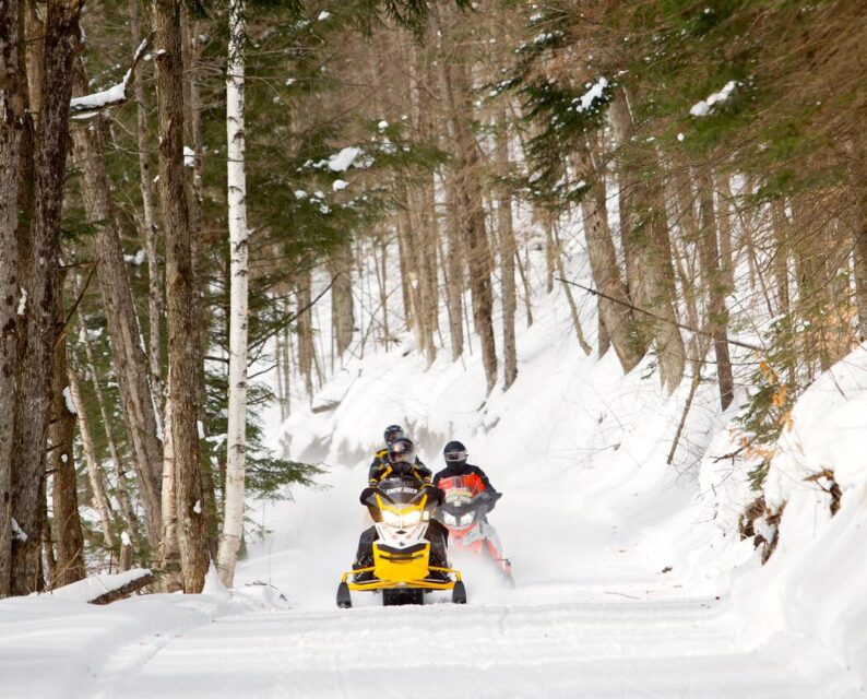 snowmobilers in a winter forest
