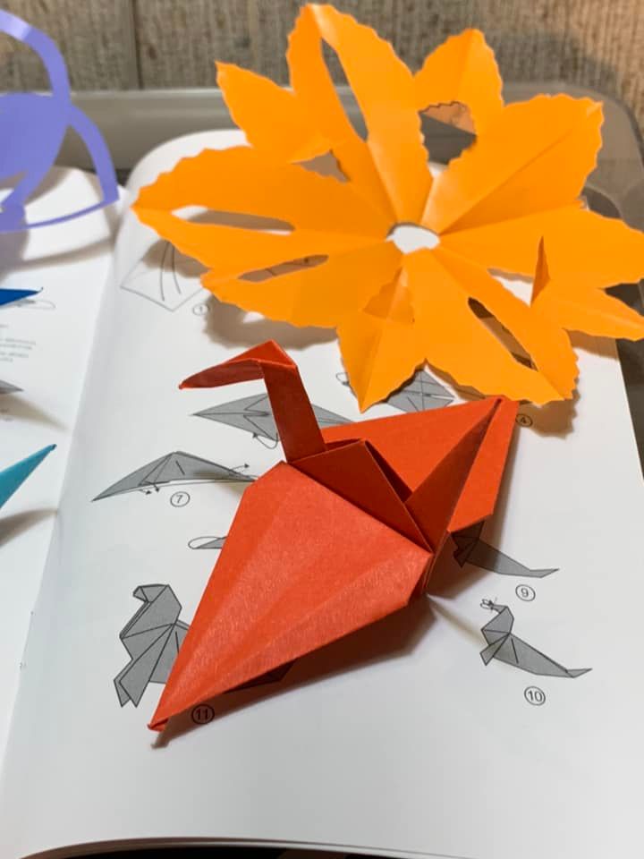 origami orange flower and red bug