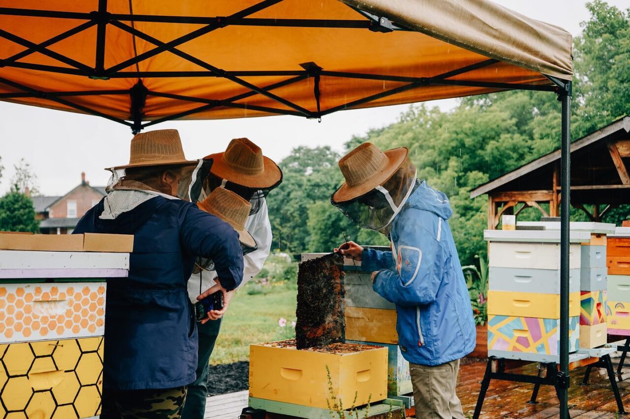 three people in suits opening a hive
