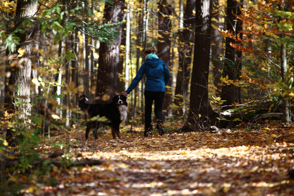 Woman walking a dog down a trail in the forest