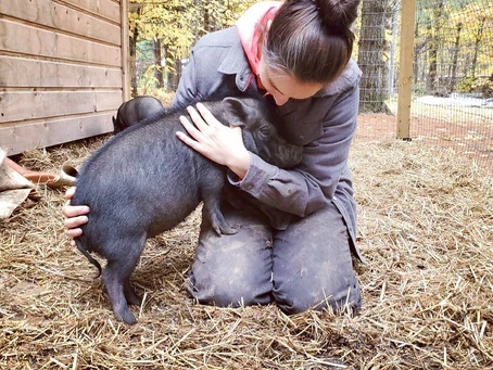 woman hugging a piglet