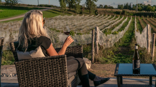 person holds a glass of wine in front of a vineyard