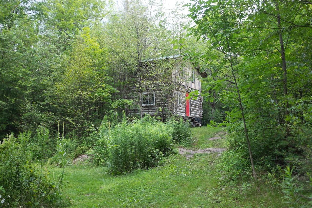 In the center of the photo there is a wood cabin, with a red door. Surrounding the cabin is thick lucious forest