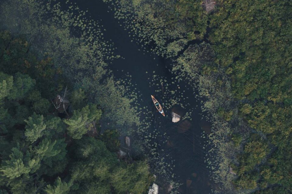 aerial view of a person paddling down a river