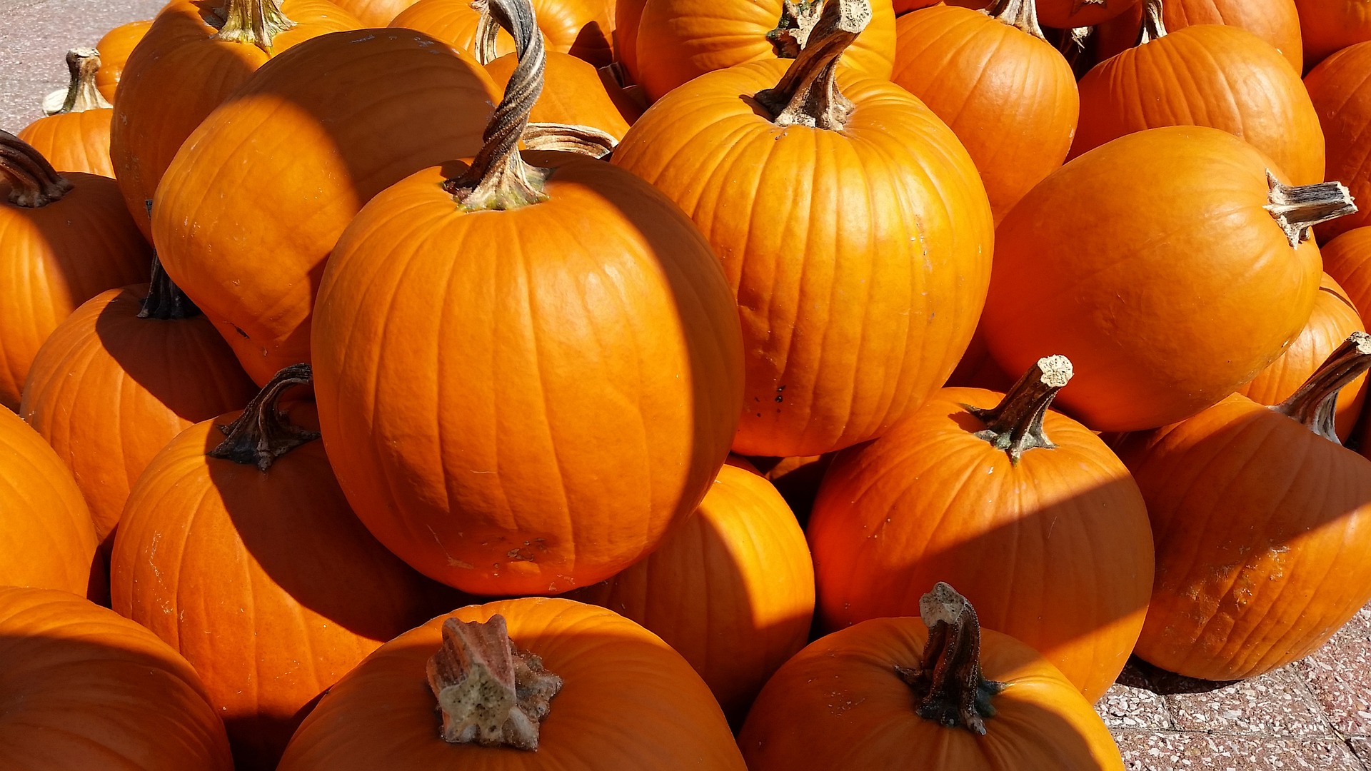 an image of a bunch of pumpkins