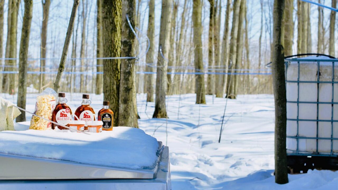 bottles of maple syrup displayed on a snow covered table in a winter forest