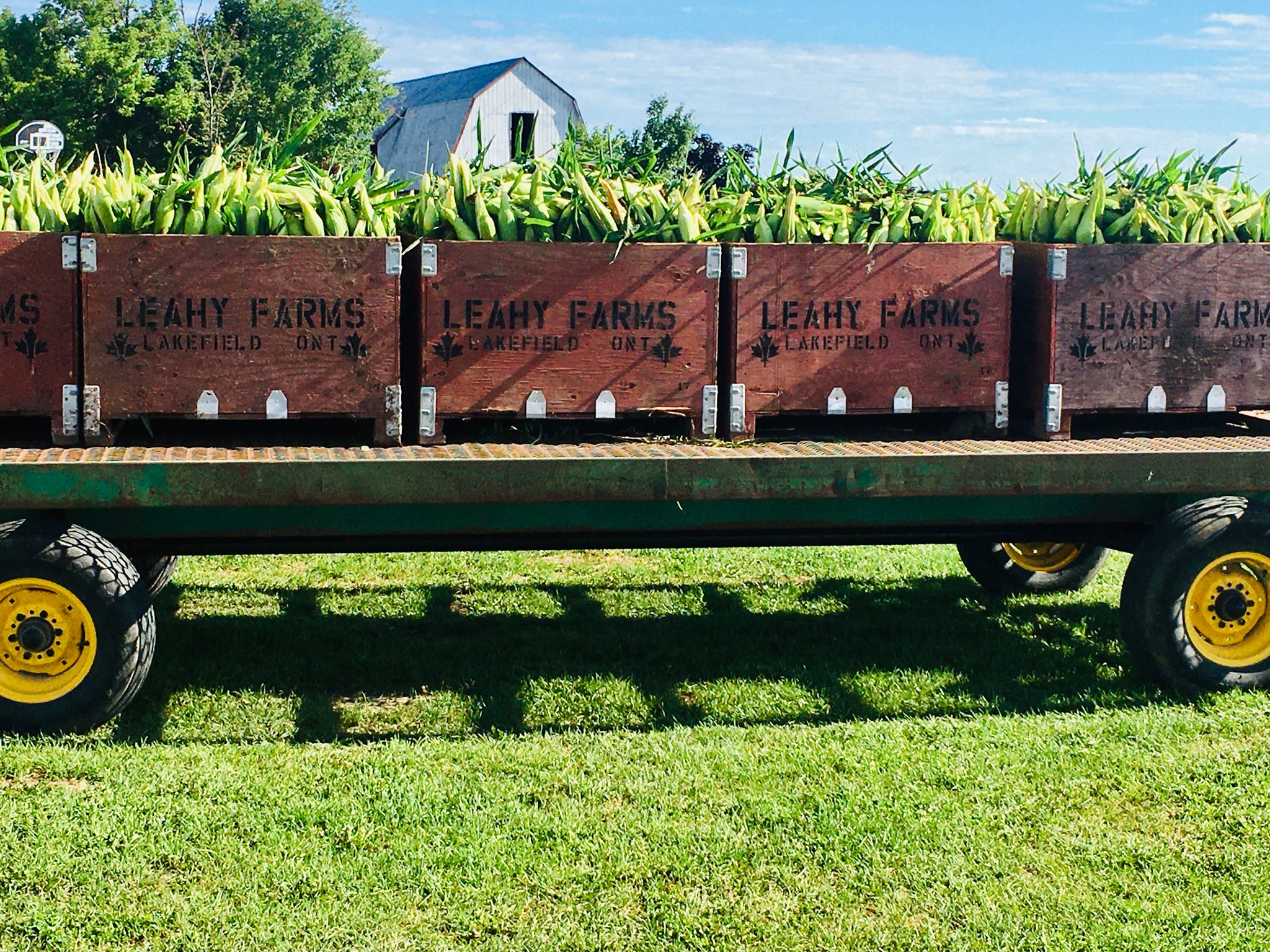 Leahys Farm and Market - Peterborough & the Kawarthas